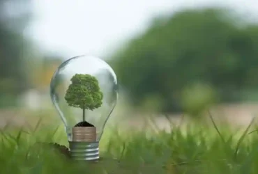 Gaya Hidup Berkelanjutan dengan Kehidupan Ramah Lingkungan 15 15 kotategaldotcom